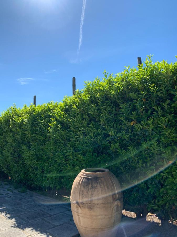 La Casa Del Sole Bed & Breakfast Vico Equense Luaran gambar