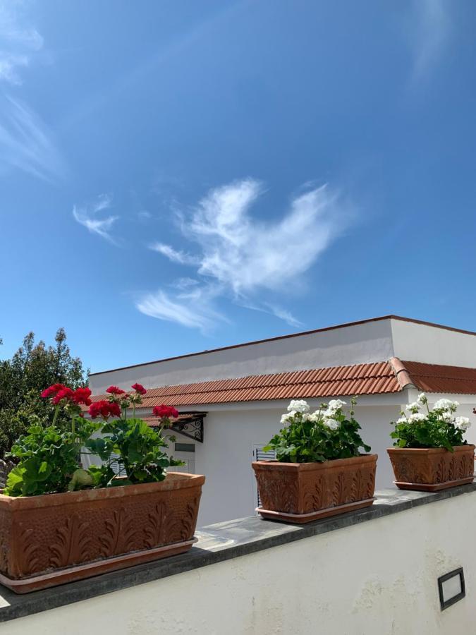La Casa Del Sole Bed & Breakfast Vico Equense Luaran gambar