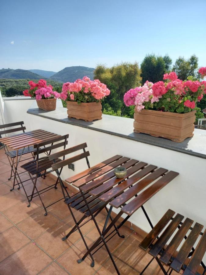 La Casa Del Sole Bed & Breakfast Vico Equense Luaran gambar