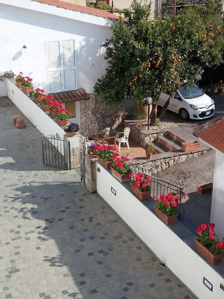 La Casa Del Sole Bed & Breakfast Vico Equense Luaran gambar